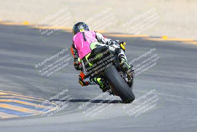 media/Mar-10-2024-SoCal Trackdays (Sun) [[6228d7c590]]/9-Turn 8 Backside (1150am)/